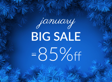 Big January Sale 
