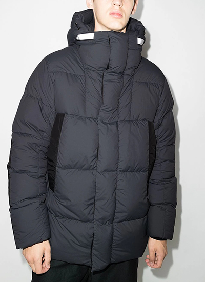 Canada Goose обычной посадки 