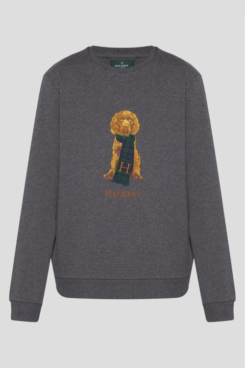 Свитшот Hackett