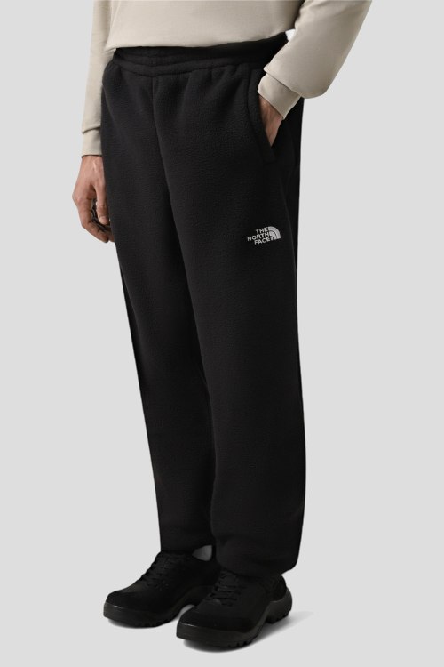 Спортивные брюки The North Face