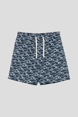 Пляжные шорты Paul & Shark