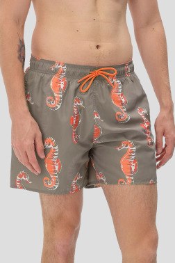 Пляжные шорты Armani