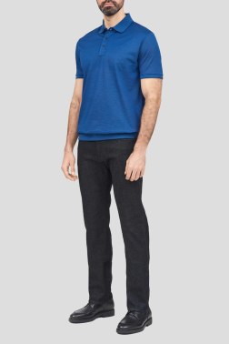 Мужское поло Paul & Shark