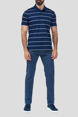 Мужское поло Paul & Shark