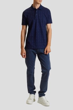 Мужское поло Paul & Shark