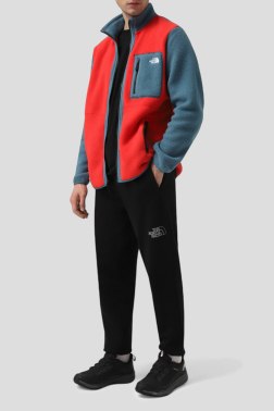 Спортивные брюки The North Face