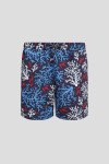 Пляжные шорты Hackett