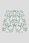 Пляжные шорты Hackett