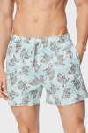 Пляжные шорты Armani