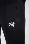 Спортивные брюки Premium Arcteryx