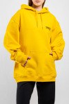 Худи Balenciaga