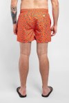 Пляжные шорты Fred Mello