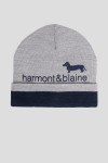 Шапка Harmont & Blaine